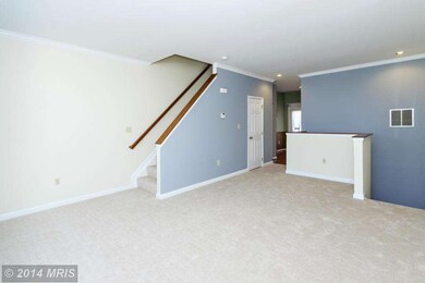 10812 Will Painter Dr, Owings Mills, MD 21117 - photo 4