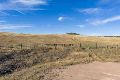 Lot 6 & 7 Mineral Ln unit TBD Mineral Lane, West Pennington, SD 57745 - photo 6