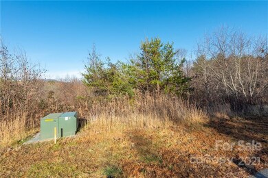 99999 Tremorra Trail unit 18, Leicester, NC 28748 - photo 6