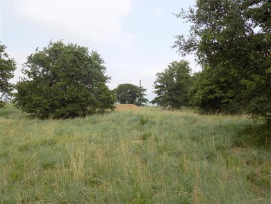 450 Big Salty Dr, Springtown, TX 76082 - photo 7