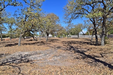 2042 Stone Meadow unit 373, Fredericksburg, TX 78624 - photo 5