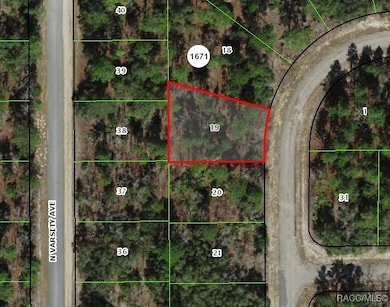 1947 W Skyline Dr, Pine Ridge, FL 34434 - photo 3