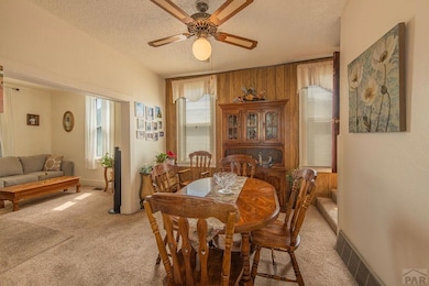 711 E 3rd St, Pueblo, CO 81001 - photo 7