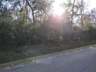 00 Seminole, Magnolia, TX 77354 - photo 2