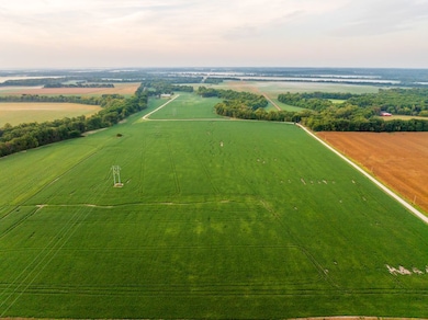 3497 SW County Road 1067, Butler, MO 64730 - photo 5