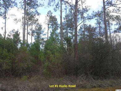 7363 Hucks Rd, Conway, SC 29526 - photo 7