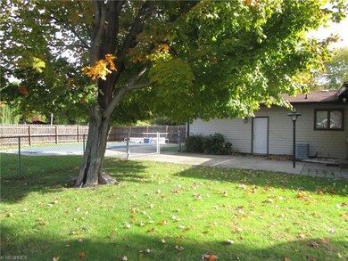Back yard patio and chain linked fence above groun