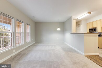22607 Blue Elder Terrace unit 301, Ashburn, VA 20148 - photo 5