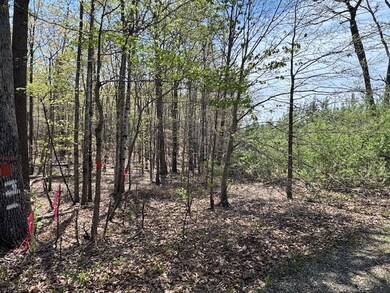 0 Spencer Rd unit 7 57122, Concord, VA 24538 - photo 2