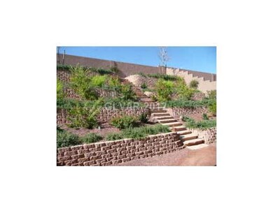 Yard/Garden.