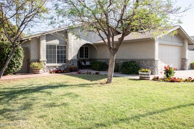 Front Yard