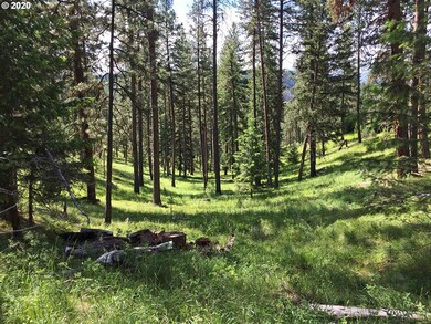 0 Malhuer Home unit 20598619, Prairie City, OR 97869 - photo 7