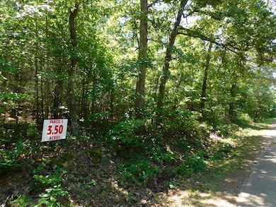 3.50 AC Neals Corner Rd, Clover, VA 24534 - photo 4