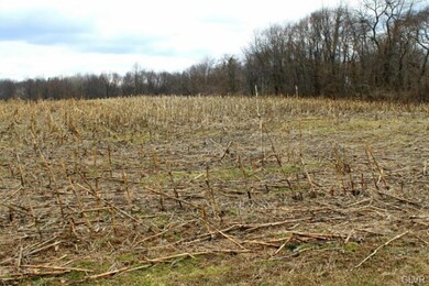 68 Hillcrest Rd unit LOT 1, Barto, PA 19504 - photo 6