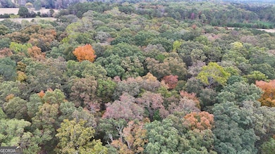 12895 Highway 36, Covington, GA 30014 - photo 2