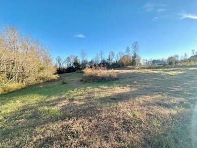 184 Spivey Creek Rd, Landrum, SC 29356 - photo 5