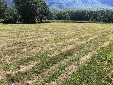 Lot 26 Cutshaw Ln, Greeneville, TN 37743 - photo 4