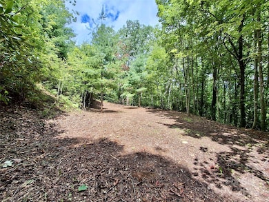 0 Sometimes Creek Rd, Sylva, NC 28779 - photo 5