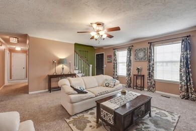 This 16x17sf living room has new carpet, fresh VOC