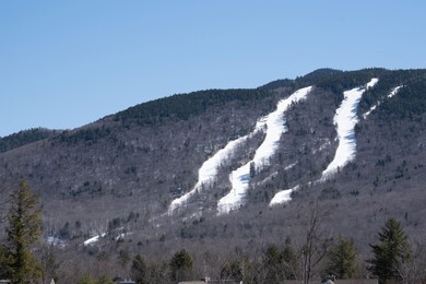 12 Twin Tip Terrace unit 1, Lincoln, NH 03251 - photo 5