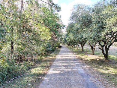 Trails End Rd unit LotWP001, Saint Francisville, LA 70775 - photo 6