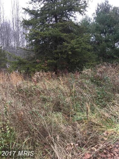 20447 Shady Grove Ln, Orange, VA 22960 - photo 4