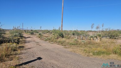 000 Sunshine Rd, Deming, WA 99030 - photo 3