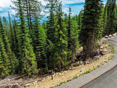 DJI_20250612041259_0703_D-HDR