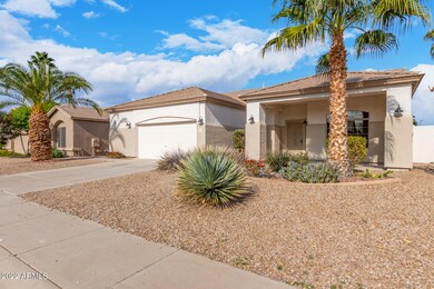 06 Smoke Tree 74