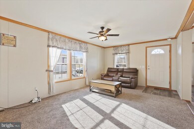 38 Meadowview Dr, New Bloomfield, PA 17068 - photo 6