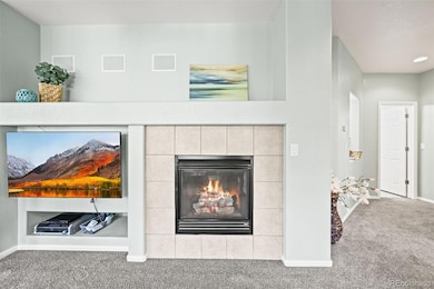 13648 Plaster Point unit 102, Broomfield, CO 80023 - photo 5