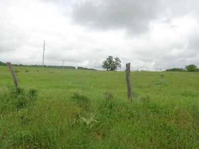 DSC02621
