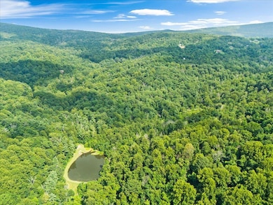 Lots G37 & G39 Lake Rd, Stanley, VA 22851 - photo 4