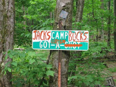 0 Lake Desolation Rd unit 201821397, Middle Grove, NY 12850 - photo 2