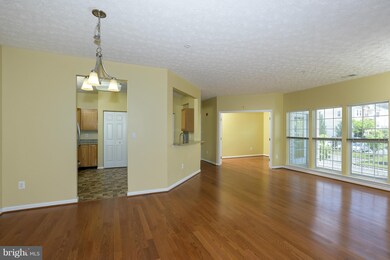 2404 Chestnut Terrace Ct unit 204, Odenton, MD 21113 - photo 6
