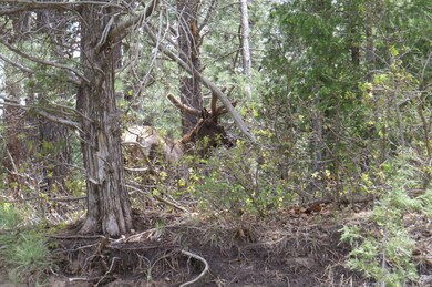 33785 Hiddenwood Ln unit C52, Trinidad, CO - photo 3