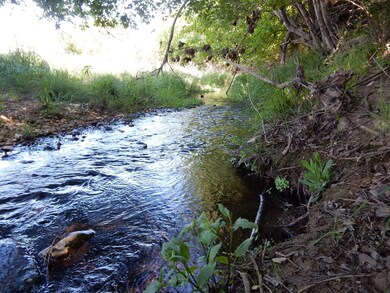 108 W Park St, Fredericksburg, TX 78624 - photo 4