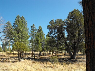 6 Lot 102 Juniper