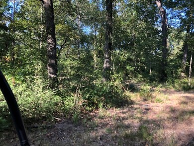 0 Farm To Market 706, Lufkin, TX 75904 - photo 3