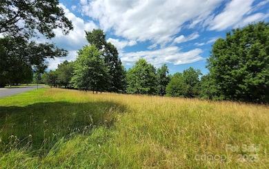 0 Mountain Pkwy unit 52/53/54 CAR4107625, Mill Spring, NC 28756 - photo 7