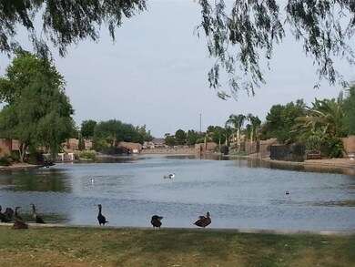 LAKE COMMUNITY 1