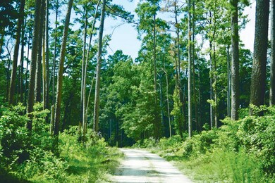 15572 Intrepid Ln, Willis, TX 77378 - photo 4