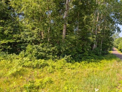 XXX Dock Lake Rd, Spooner, WI 54801 - photo 6