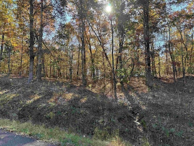 5 Woods Cliff Ln, Savannah, TN 38372 - photo 2