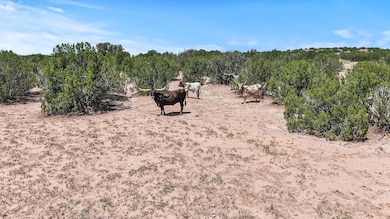 54 Anaya Spring Rd unit A, Los Cerrillos, NM 87010 - photo 6