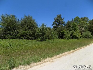 255 McCraws Hill Dr unit 3, Hendersonville, NC 28792 - photo 6