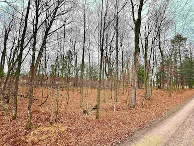 Lot 36 Fairway Dr, Pickerel, WI 54465 - photo 3