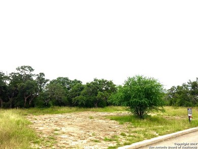 3906 Luz Del Faro, San Antonio, TX 78261 - photo 4