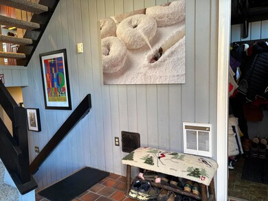 28 Tyler Spring Way unit 19, Waterville Valley, NH 03215 - photo 5