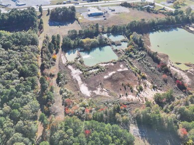 0 Southwest Loop, Carthage, TX 75633 - photo 6